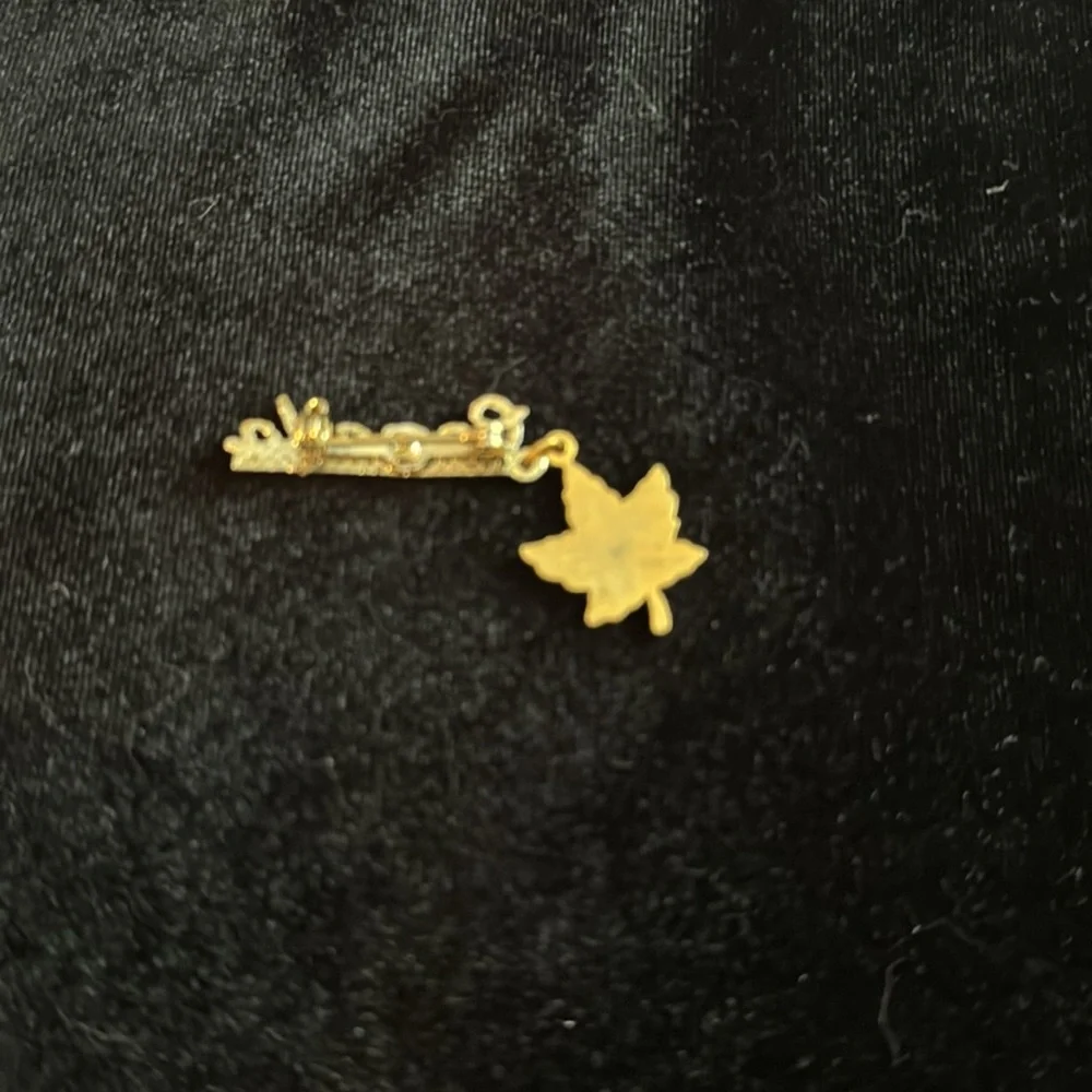 Vintage Canada brooch